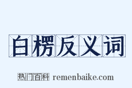 白楞反义词是什么意思的图片